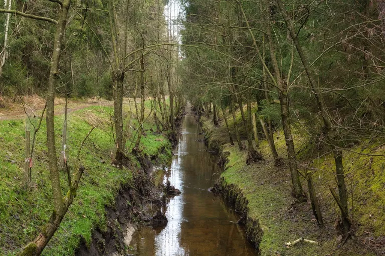 Odvodnenie pozemku: Prečo je dôležité a ako na drenážny systém