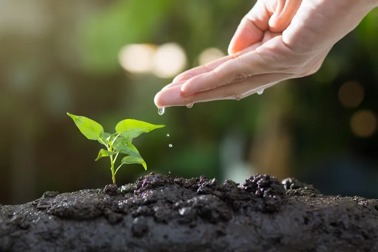 Bioplasty pre lepšiu udržateľnosť: Riešenie, alebo väčší problém?
